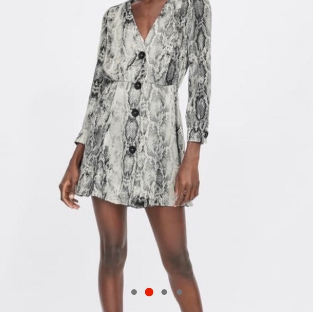 Zara-Snake print dressVisitsnake print button down....